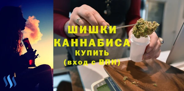 apvp Верея