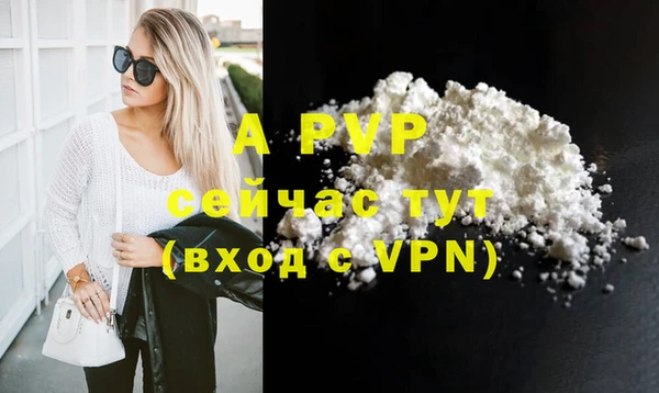 apvp Верея